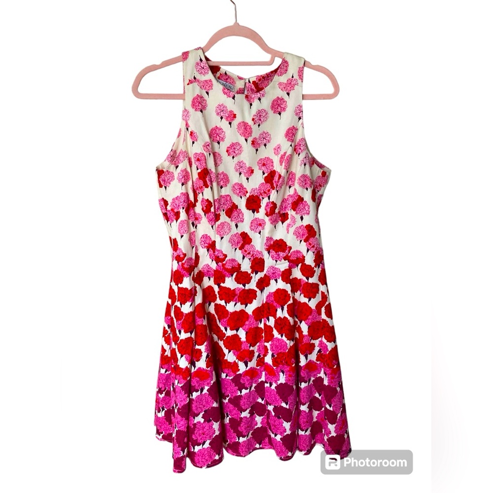 Maggy London Vintage Ombré Floral Dress M